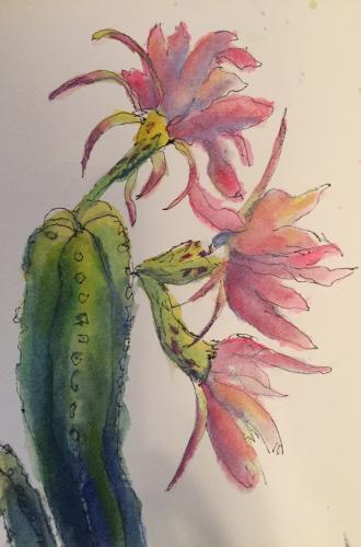"Cactus III"  Watercolor