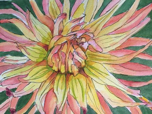 "Dahlia" Watercolor and Ink