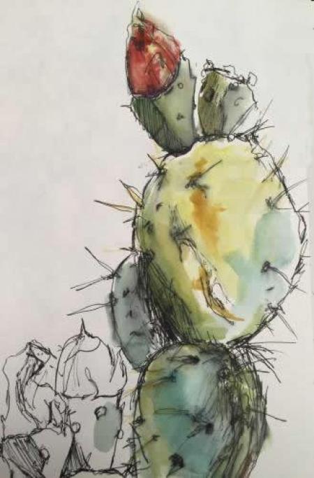 "Cactus II"  Ink and Watercolor 