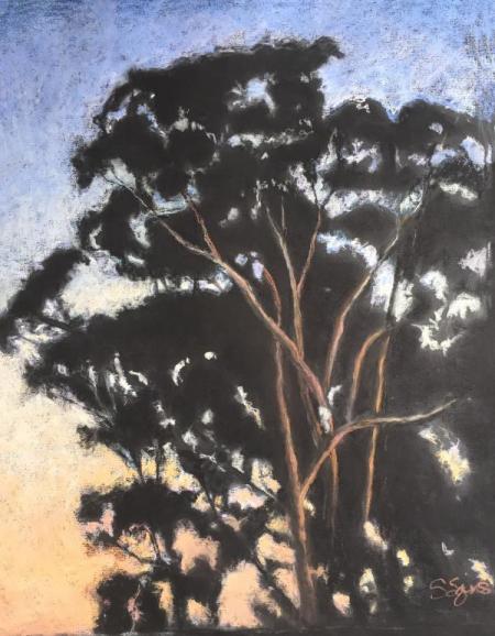 "Eucalyptus Silhouette" Pastel on Paper