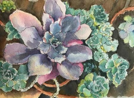 "Succulents #2" Ink and Watercolor