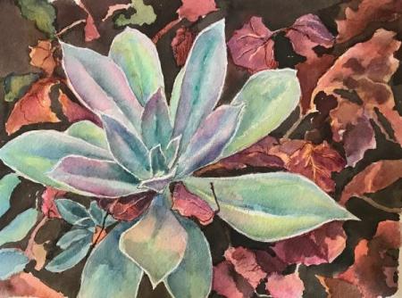 "Succulents #4" Ink and Watercolor