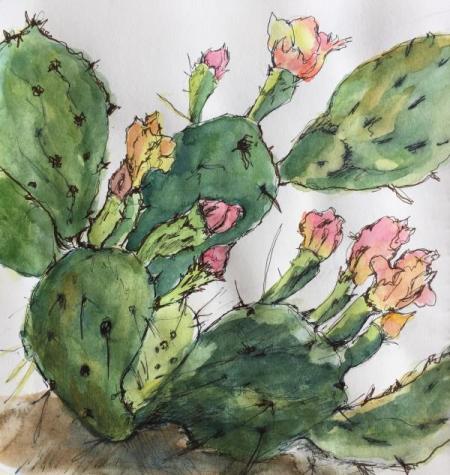 "Cactus Study VII" Ink and Watercolor