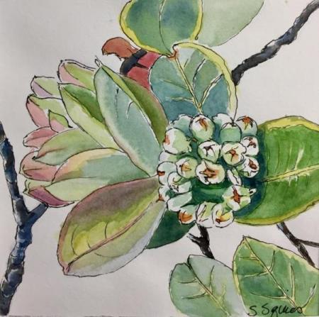 "Hawaiian Botanical #2" Ink and Watercolor