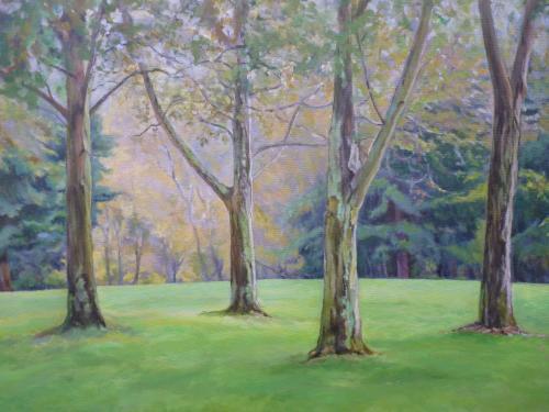 "Trees Study I - Temescal" Acrylic on Canvas 